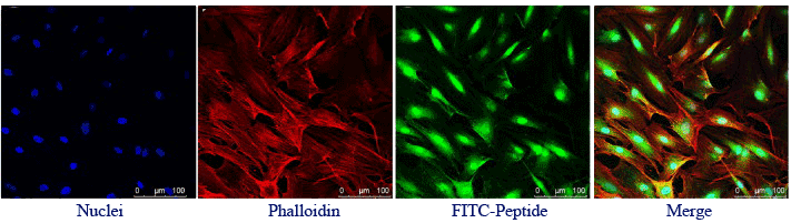 新葡的京集团8814(股份)有限公司官网